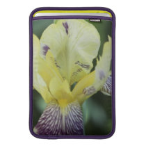 Rare Orchid 11" MacBook Sleeve
