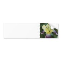 Rare Orchid Bumper Sticker