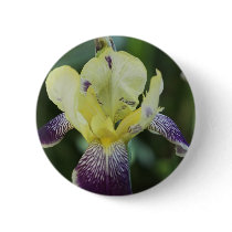 Rare Orchid Button