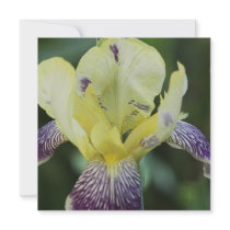 Rare Orchid Invitations