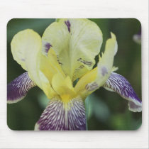 Rare Orchid Mouse Pad