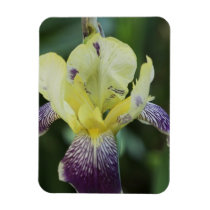 Rare Orchid Premium Magnet