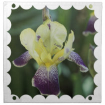 Rare Orchid Set of four Napkin