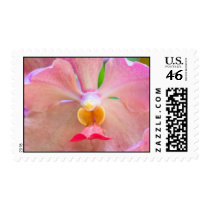 Rare pink Orchid stamps