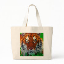 Rare Sumatran Tiger from Indonesia bags