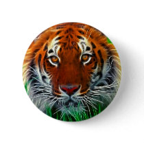 Rare Sumatran Tiger from Indonesia buttons by KahunaLuna Rare Sumatran Tiger from Indonesia buttons