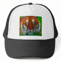 Rare Sumatran Tiger from Indonesia Hat