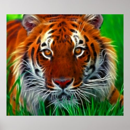 Rare Sumatran Tiger from Indonesia print