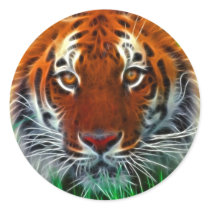 Rare Sumatran Tiger from Indonesia Round Stickers