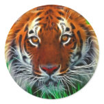 Sumatran+tiger+cartoon