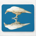 Rare White Raven ~ 2010 Mousepads