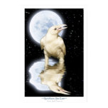 white raven prints, white raven posters, raven