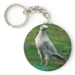 Rare White Raven Gifts Key Chains