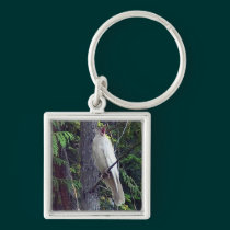 Rare White Raven Keychains