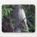 Rare White Raven Mousepad