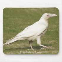 Rare White Raven mousepads by RavenSpiritPrints Rare White Raven mousepads