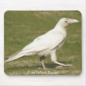 Rare White Raven mousepads