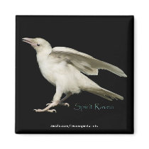 Rare White Raven Photo Spirit Raven II Series Fridge Magnet