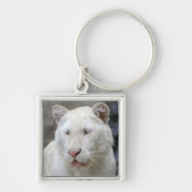 Rare White Tiger Keychain