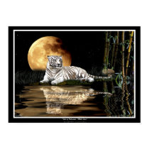 RARE WHITE TIGER & MOON Art Prints & Posters