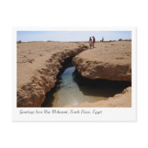 Ras Mohamed Nature Preserve Park, Sinai, Egypt Postcards