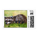 Rascal aceo Postage postage by bmthour Rascal aceo Postage postage