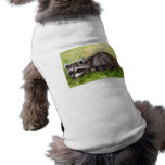 Rascal aceo Raccoon Pet Clothing