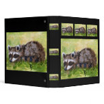Rascal aceo Racoon Binder