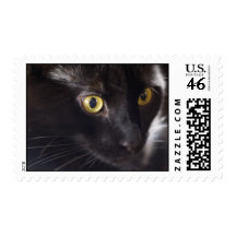 Rascal Eyes Stamps