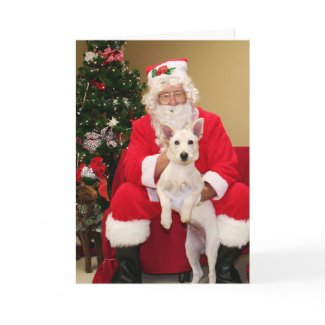 Rasmus - German Shepherd - Smith card