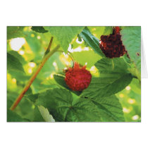 raspberries cards