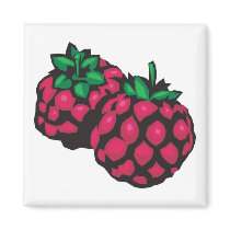 raspberries magnets