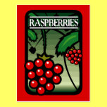 Raspberries postcards