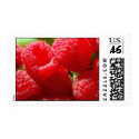 Raspberries Postage postage by pulsDesign Raspberries Postage postage