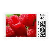 Raspberries Postage postage