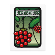 Raspberries Postcards