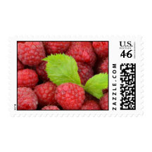 Raspberries Stamps