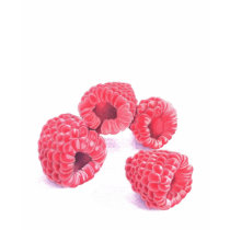 Raspberries T-shirt