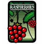 raspberry, raspberries, fruit, berry, berries,