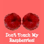 Raspberries t-shirts