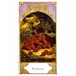 raspberries, vintage, 1874, advertisement, fruit,