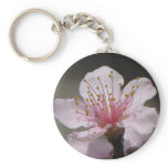 Raspberry Bloom Keychains