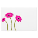 Raspberry Gerber Daisy stationery by samack Raspberry Gerber Daisy stationery