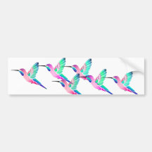 Raspberry Mint Sorbet Hummingbirds Bumper Stickers