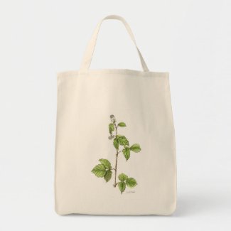 Raspberry Plant Grocery Tote bag