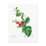 Raspberry Post Card