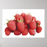 Raspberry Poster posters