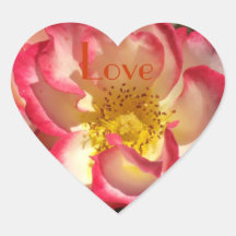 Raspberry Tinged Rose Stickers