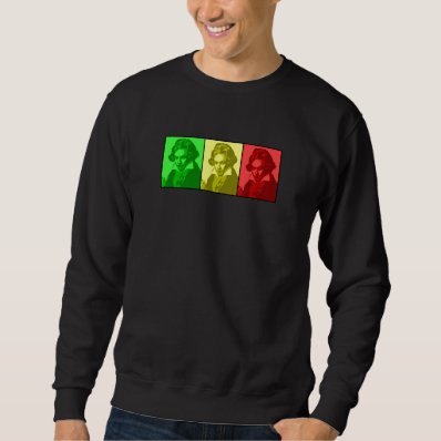 rasta beethoven pull over sweatshirt