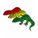 Rasta Geckos t-shirts